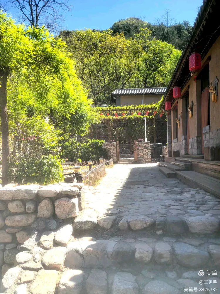 太行之星骆驼湾村